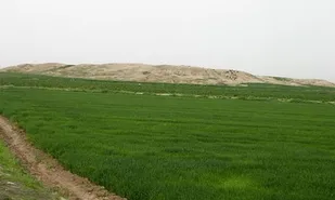 ساخت&zwnj;وساز در محوطه ۲ هزار ساله &laquo;لور&raquo;