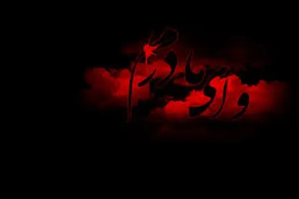 مادر شهیدان بارونی به فرزندان شهیدش پیوست