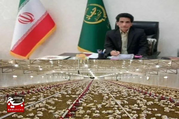 جوجه ریزی ۳۱۸ هزار قطعه ای در واحدهای مرغداری شهرستان زاهدان