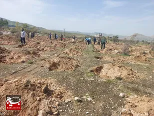آئین آغاز کاشت ۱۵۰ هزار اصله نهال اُکالیپتوس درشهرستان باغملک برگزار شد