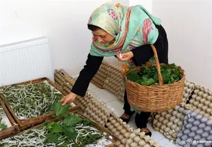 اختصاص ۱۰۲ میلیارد تومان اعتبار برای تسهیلات مشاغل خانگی استان یزد