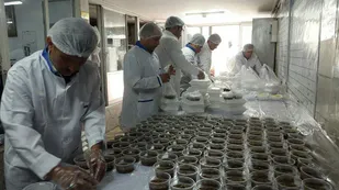 فعالیت ۳۰۰۰ آشپزخانه برای توزیع افطاری در میان نیازمندان
