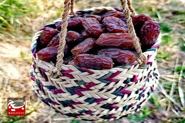 آمادگی تعاون روستایی خوزستان برای خرید ۳ هزار تن خرما