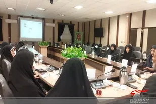 افزایش زنان خود سرپرست از معضلات اصلی استان است
