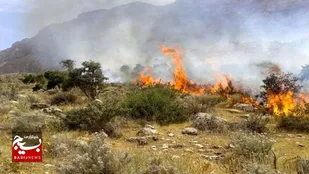 ۵۰ هکتار از مراتع منطقه چگنی&zwnj;&zwnj;کش بروجرد طعمه حریق شد