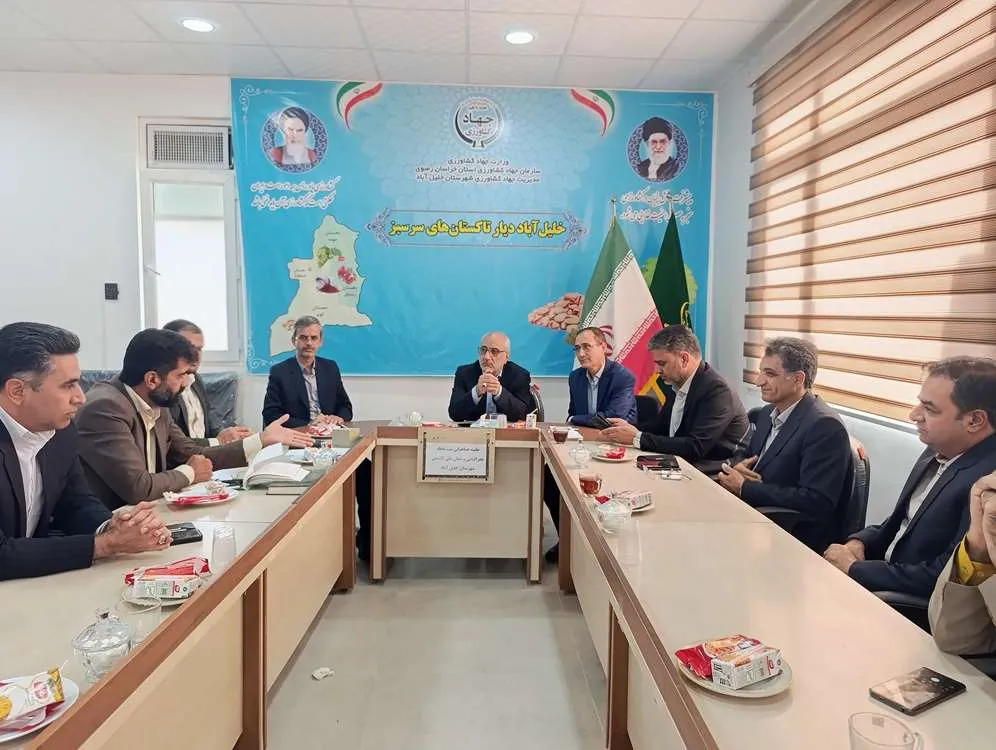 کشمش خلیل آباد