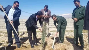 کاشت دو هزار نهال در شهرک ها و نواحی صنعتی کهگیلویه وبویراحمد
