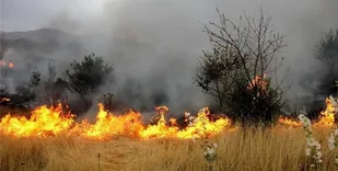 آتش&zwnj;سوزی در مراتع مجن