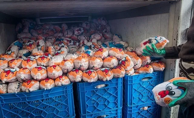توزیع 40 تُن مرغ منجمد میان مددجویان تهرانی