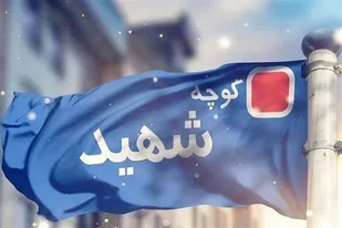 نامگذاری خیابان&zwnj;های شیراز به نام شهدا اصلاح می&zwnj;شود