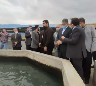 بازدید وزیر جهادکشاورزی از پروژه پرورش ماهیان خاویاری در شهرستان بندرگز