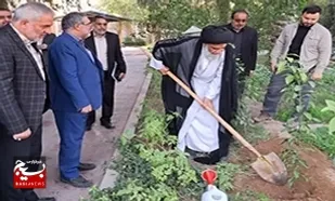 مهار ریزگردها در خوزستان منوط به درختکاری مستمر است
