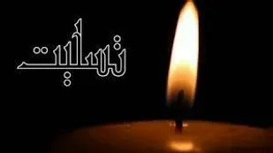 مادر شهید &laquo;علی اکبر رضایی مقدم&raquo; به فرزند شهیدش پیوست