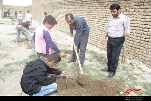 درختکاری توسط بسیجیان و دانش آموزان در روستای توانه نهاوند