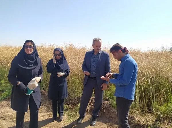 ثبت ۱۴ هزار و ۷۰۰ هکتار کشاورزی قراردادی در شهرستان تبریز