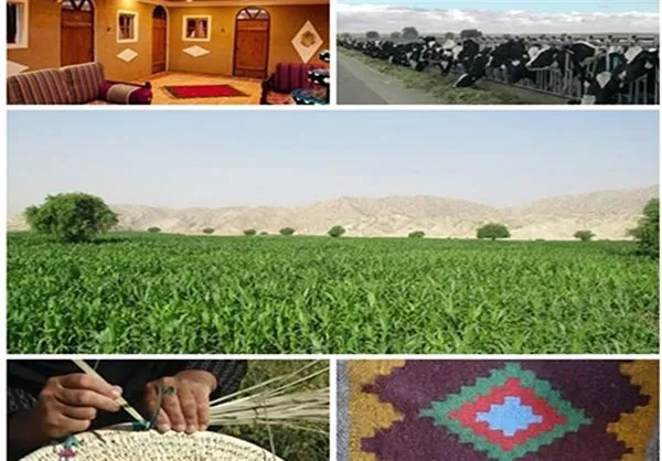 پرداخت ۱۴۸ میلیارد تومان وام اشتغال روستایی در استان