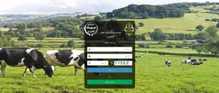 همه ایرادات سامانه بازارگاه