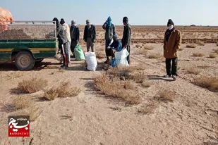 &nbsp;نهضت نهال&zwnj;کاری در ۲۵ هکتار از مناطق بیابانی گناباد+فیلم