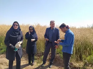 ثبت ۱۴ هزار و ۷۰۰ هکتار کشاورزی قراردادی در شهرستان تبریز