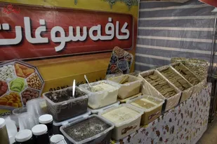 بیش از ۳ هزار میلیارد تومان ارزش سالانه تولیدات عشایر ایلامی است