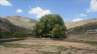 کرخنگان؛ روستایی در محل تلاقی سه استان