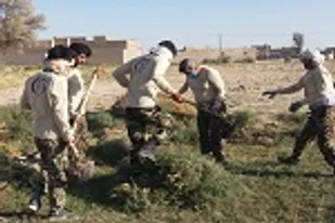 گروه&zwnj;های جهادی شهرستان نیمروز یاری رسان مردم و کشاورزان شدند