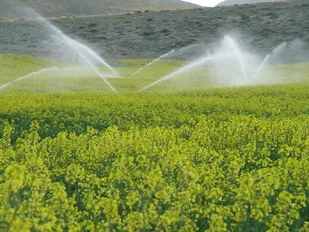 اجرای یک هزار و 270 طرح کشاورزی برای مددجویان همدانی