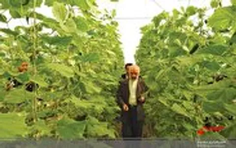 پولسازی از فارفان تا اراضی