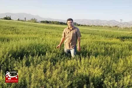 از تامین سوخت جت تا خودکفایی در تامین روغن کشور توسط مبتکر بسیجی کرمانشاهی
