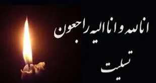 پیام تسلیت رئیس سازمان بسیج اساتید کشور به سردار سعید محمدی