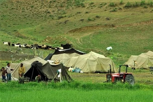 تشکیل ۴ پرونده قضایی در خصوص عشایر در اسدآباد