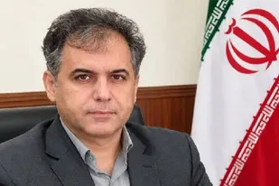 حریق در طبیعت استان ۶۱ درصد کاهش یافت