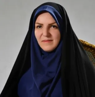 مدیریت نرم افزارها اقدام موثری برای مبارزه با قاچاق کالا است