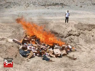 معدوم&zwnj;سازی بیش از ۲.۵ تن گوشت قرمز منجمد غیربهداشتی در زاهدان / نظارت دامپزشکی برای تأمین امنیت غذایی تشدید شده است