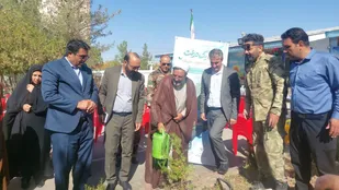 پویش &laquo;حتی یک درخت&raquo; در مدارس بردسکن آغاز شد