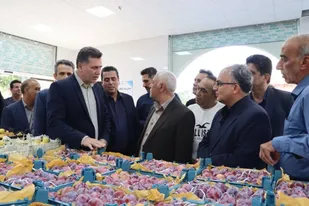 &nbsp;فرماندار سمنان: توسعه بازارچه&zwnj;های عرضه مستقیم در سمنان شتاب می&zwnj;گیرد