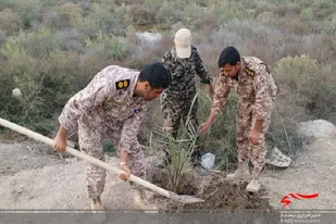 کاشت ۲۱ اصله نخل در آخرین روز از هفته منابع طبیعی توسط تیپ امام صادق(ع) استان بوشهر