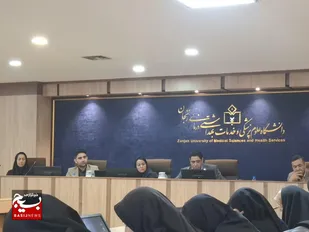 ۵۰۰ میلیارد تومان مطالبه علوم پزشکی زنجان از بیمه&zwnj;ها مربوط به دارو و تجهیزات پزشکی است/ در استان کمبود انسولین وجود ندارد