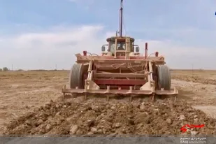 تجهیز و نوسازی ۲۳۶ هکتار از اراضی کشاورزی استان سیستان و بلوچستان