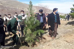 غرس ۲۵۰ اصله نهال در بوستان ولایت روستای حیدره