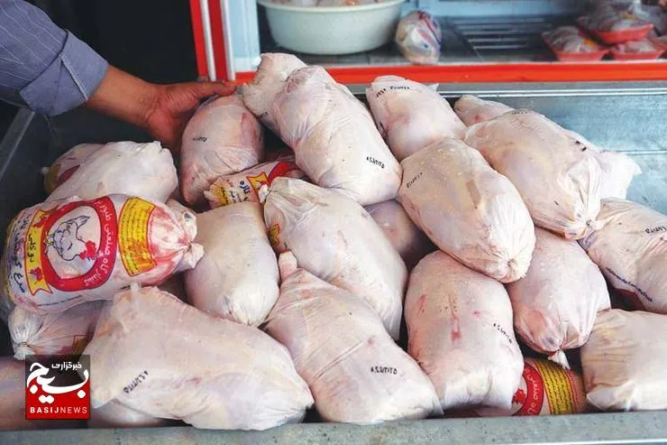 کم بودن تولید نسبت به تقاضا علت گرانی و کمبود مرغ