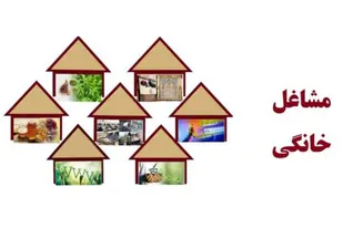 استقبال بانوان زنجانی از طرح مشاغل خانگی