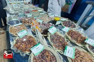 سرمایه گذاری در زیر بخش های کشاورزی سیستان وبلوچستان با بازده اقتصادی برای سرمایه&zwnj;گذاروزمینه ساز اشتغال پایدار در منطقه