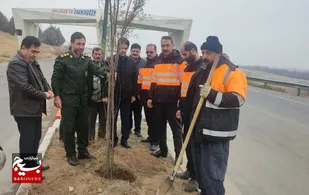 کاشت ۵۰ اصله نهال به نیت شهید سلیمانی در شاهین دژ