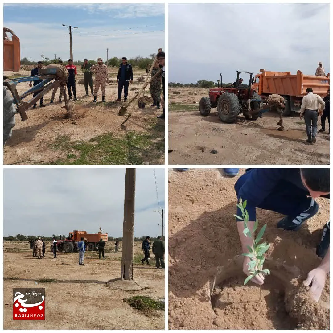 کاشت ۶ هزار نهال در دشت آزادگان