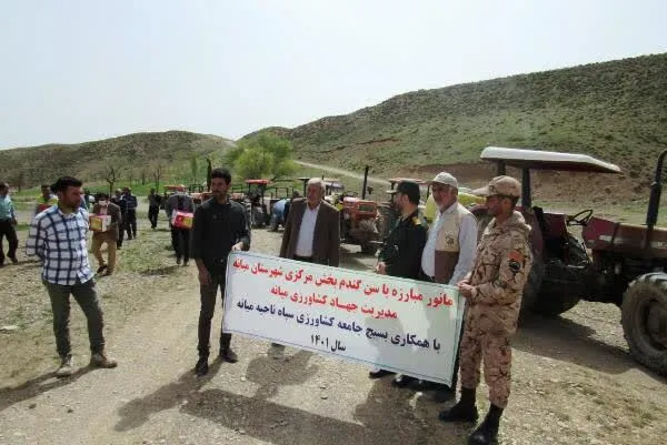 اراضی کشاورزی 14 روستای بخش مرکزی میانه علیه سن گندم سمپاشی شد
