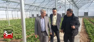 آماده سازی گلخانه ۶ هکتاری در شاهرود