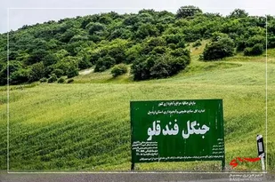 خبر ثبت ملی "جنگل&zwnj;های فندقلوی" اردبیل به نام گیلان صحت ندارد