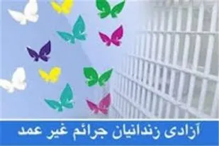 آغاز برداشت گل محمدی در شاهرود