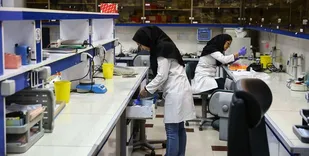 پژوهش نتیجه بخش محققان رویان و دانشگاه تهران/ استفاده از&zwnj;سلول&zwnj;های غلاف خارجی ریشه برای درمان ریزش مو